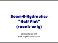 ACAPELLA VOCALS / Boom-N-Hydraulics - Half Pint