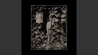 Tyler Childers Send In The Clowns