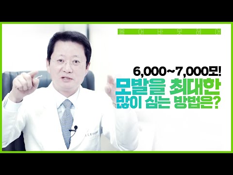 6000모에서 7000모! 모발을 최대한 많이 심는 방법은?