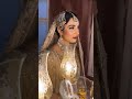 Top Pakistani actor Sarah Khan in our wedding dress