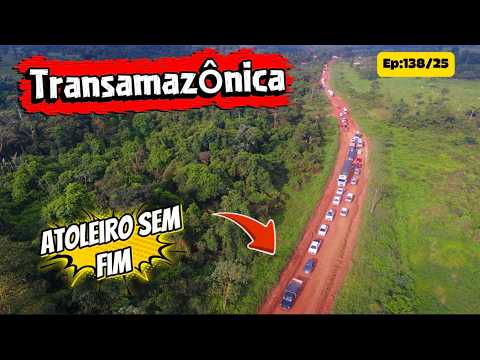 Stuck in the middle of the jungle