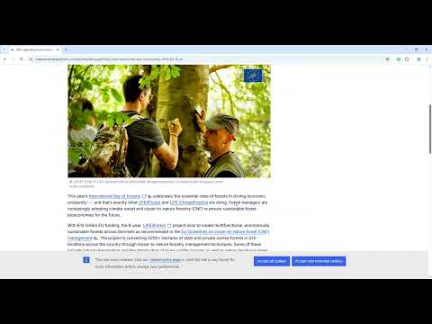 Item video thumbnail