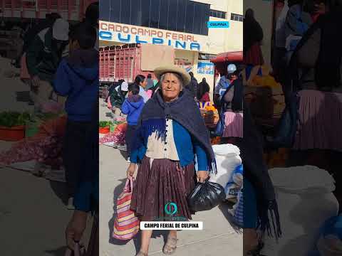 Campo ferial de Culpina