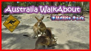 WALKABOUT Sydney - Australia | Mi Vida en Australia