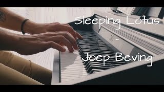 Martin D - Sleeping Lotus (Piano Cover - Joep Beving)