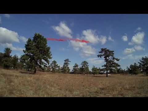 Hydra Flechette Demo Shot - Shreds Tree
