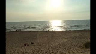 What the World Needs Now