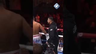 KC REBELL rastet aus , weil die Saudis nicht klatschen als Agit gewinnt. 🤯 #boxen #kcrebell #shorts