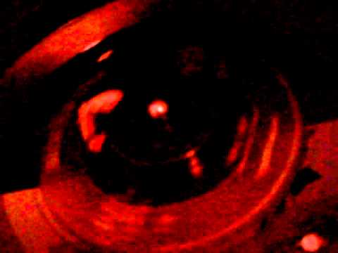 wolf boy - sammy salvo