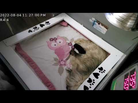 Spirit Last Night 1102pm