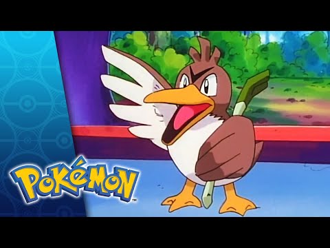 So Near Yet So Farfetch’d | POKÉMON FULL EPISODE 46 | Season 1