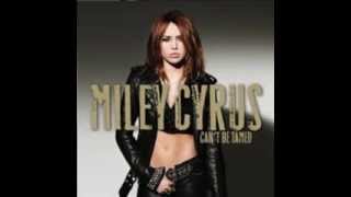 Miley Cyrus - Every Rose Has Its Thorn