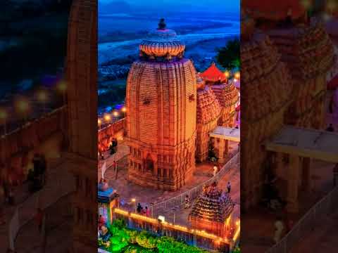 jay maa tara tarini 🙏🌸🌺#sabuja jibana#nature#shorts#🌾🙏🌸