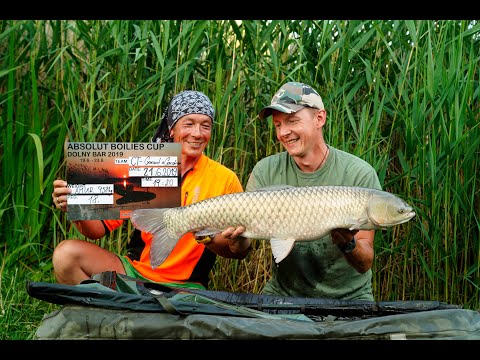 ABSOLUT BOILIES CUP - Dolný Bar