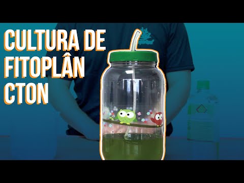 Phytoplankton Nannochloropsis HOW TO GROW (2019)