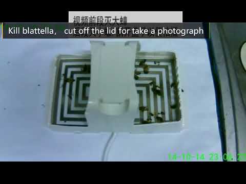 Indoor Home Plug-in Cockroach Control Killer Electric Roach Trap