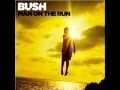 Bush - This House Is On Fire