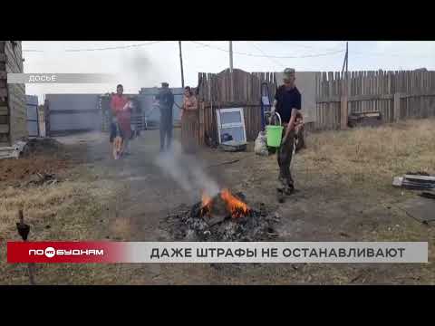 За нарушение противопожарного режима почти на 2 млн руб. оштрафованы жители Иркутской области в мае