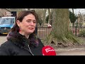 Omwonenden en school balen van glasbakken naast speeltuin: 'Onveilig' [RTV Utrecht]