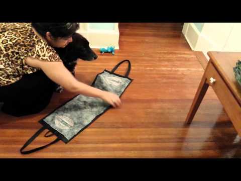 YouTube video about: How to carry a large dog down stairs?