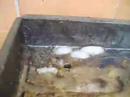 comment nettoyer plancha