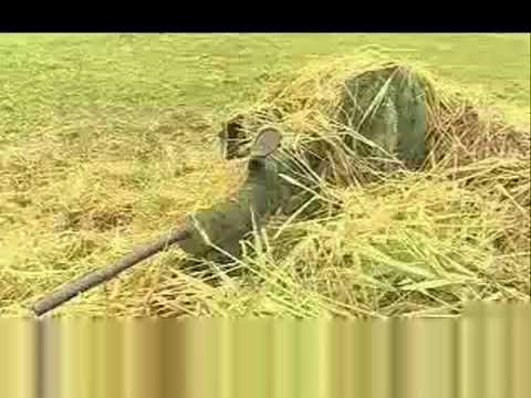 Brigada de operações Especiais