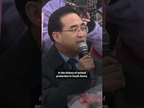 South Korea parliament passes bill banning dog meat trade | AFP #shorts