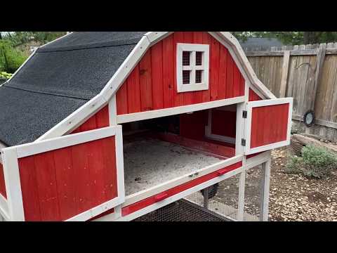 THE BEST CHICKEN COOP EVER! worth every cent!