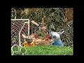 Bear In The Big Blue House Tutter Gathers Some Moss Part 5