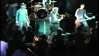 the Dingees live 'Fite Dem Back'