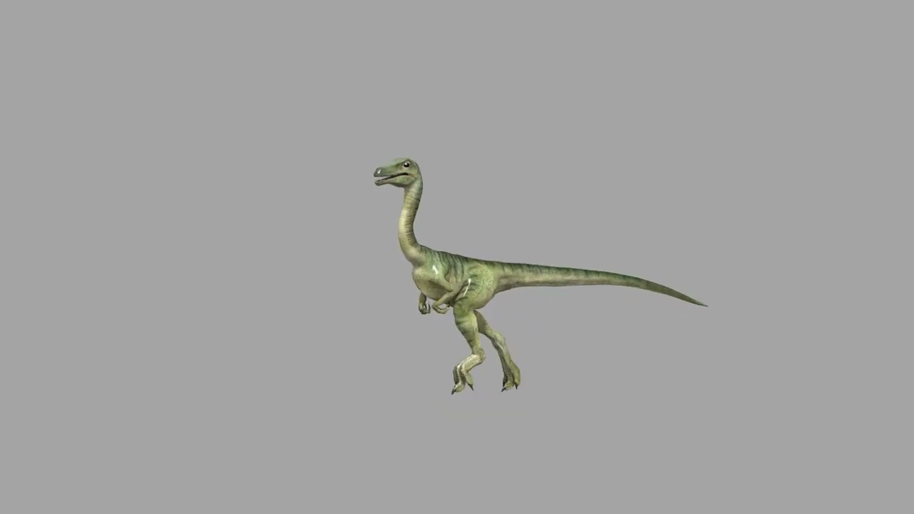 Real Animated Compsognathus - 8K 3D Model