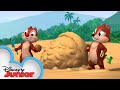 Sand Castle Hassle Chip N Dale S Nutty Tales Disney Junior