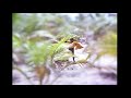 Unnai Thaanae Thanjam Endru Nambi Vandhen Naanae