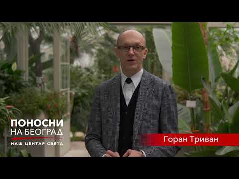 Ponosni na Beograd - Goran Trivan