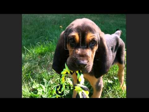 Photoshop Tutorial 12 Rectangular Marquee Tool