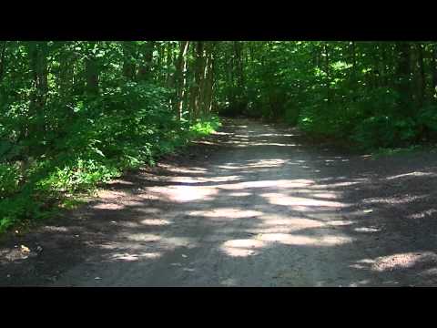 MongoTV_549 - Del 7 - På Vandring Ad Kulhusvej - Fredag Den 14.August 2015