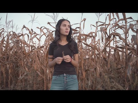 SIXTYFOUR vs FRANCESCO LE NOIRE - Love Overdose