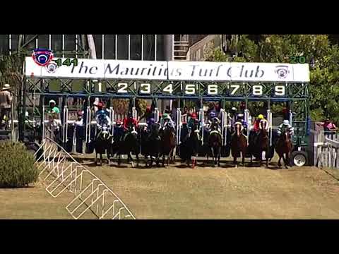 RM14 R1 | Starsky | S.Rama