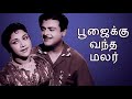 Poojaiku Vandha Malare 1965 Gemini Ganesan Savithri Tamil Golden Full Movie