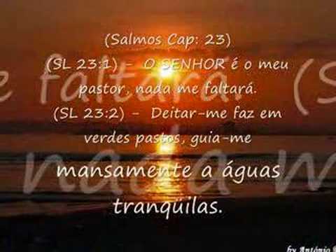 Quatro Estações video