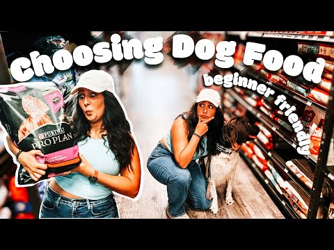 A Comprehensive Guide For Finding The Perfect Dry Dog Food for The Average Dog Parent