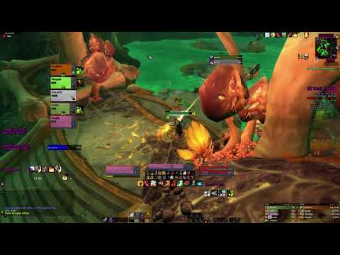 Plaguefall Mythic +5 score +1 FORTIFIED BURSTING Protection Paladin