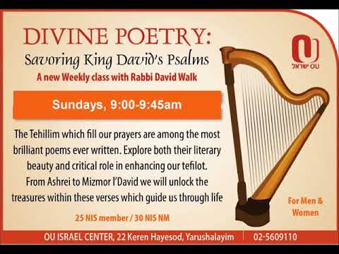 Rabbi David Walk   Psalm 30 Part 1