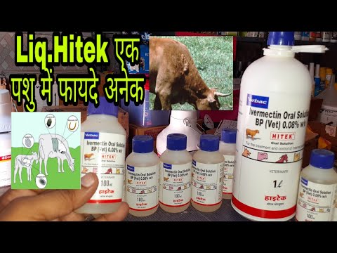 download lagu mp3 mp4 Hitek, download lagu Hitek gratis, unduh video klip Hitek