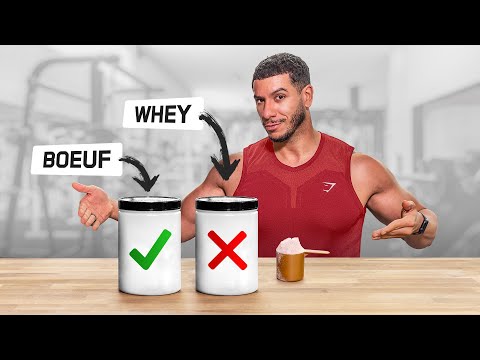 PROTÉINE EN POUDRE : laquelle choisir pour la prise de muscle