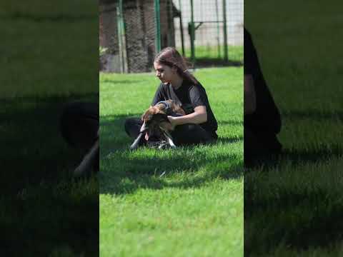 Video di PRALINA