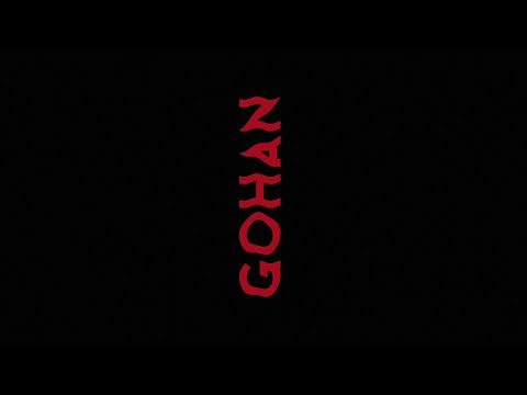 Pro Zed - Gohan (official visualizer)