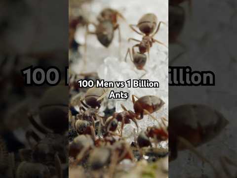 100 men vs 1 billion ants 😳