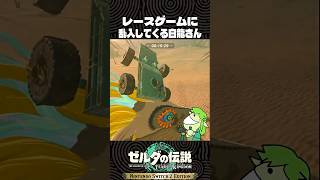 レースゲームに乱入してくる白龍さん【ゼルダの伝説 ティアキン】