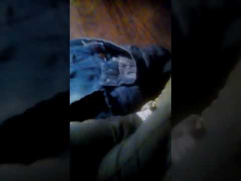 Walmart No Boundaries Shorts